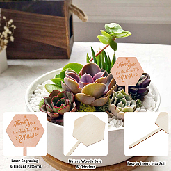 30Pcs Wooden Plant Labels&nbsp;DIY-GF0014-19B