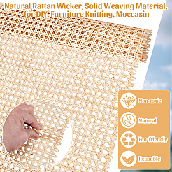 Natural Rattan Wicker&nbsp;AJEW-WH0410-271C
