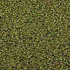 TOHO Round Seed Beads&nbsp;SEED-JPTR11-0996