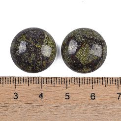 Natural Dragon Blood Cabochons&nbsp;G-T020-18mm-39