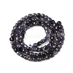Natural Iolite Beads Strands&nbsp;G-N342-112A