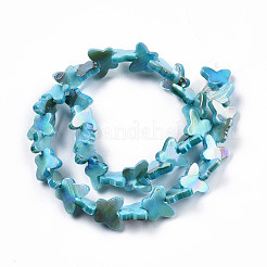 Natural Freshwater Shell Beads Strands&nbsp;SHEL-N026-206A