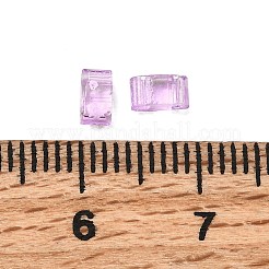 2-Hole Transparent Glass Seed Beads&nbsp;SEED-S023-30B-26