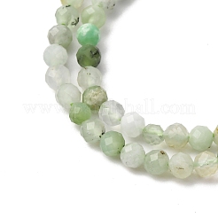 Natural Chrysoprase Beads Strands&nbsp;LS-G-RM2025-A39-3mm