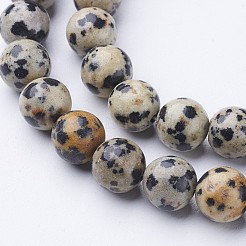 Natural Dalmatian Jasper Beads Strands&nbsp;X-GSR004