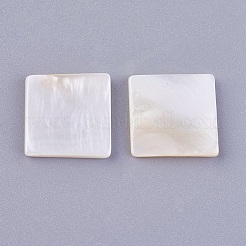 Shell Cabochons&nbsp;BSHE-P026-24