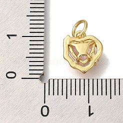 Rack Plating Brass Micro Pave Cubic Zirconia Charms&nbsp;KK-I720-08G