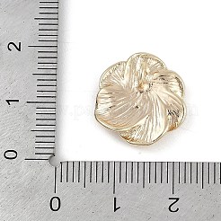 Brass Pendants&nbsp;KK-Z075-17G