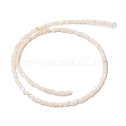 Natural Freshwater Shell Beads Strands&nbsp;X-SHEL-P017-01B-02