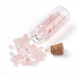 Glass Wishing Bottle Display Decorations&nbsp;AJEW-T013-02L