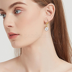 20 Pairs 2 Colors Brass Leverback Earring Findings&nbsp;KK-SC0007-43