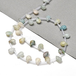 Natural Flower Amazonite Beads Strands&nbsp;G-Q167-A10-02