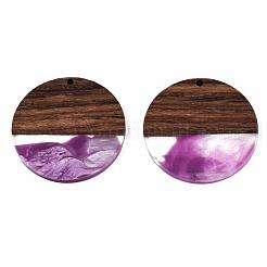 Transparent Resin & Walnut Wood Pendants&nbsp;RESI-T035-35A
