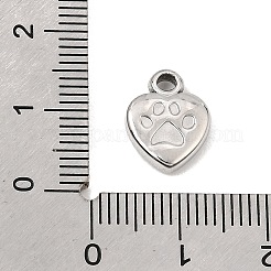 304 Stainless Steel Charms&nbsp;SA-CBA0563-10P