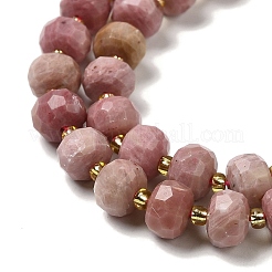 Natural Rhodonite Beads Strands&nbsp;G-P508-A19-01