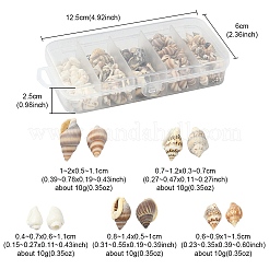 5 Styles Mixed Natural Shell Beads&nbsp;SSHEL-YW0001-03