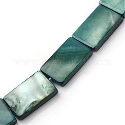 Natural Sea Shell Beads Strands&nbsp;SSHEL-Q296-31
