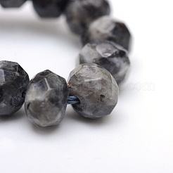 Faceted Rondelle Dyed Natural Sesame Jasper/Kiwi Jasper Bead Strands&nbsp;X-G-R343-6x8-20