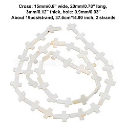 2 Strands Natural Freshwater Shell Beads Strands&nbsp;BSHE-BC0001-11