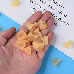 Transparent Acrylic Beads&nbsp;PL551-C30