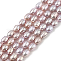 Natural Cultured Freshwater Pearl Beads Strands&nbsp;PEAR-I007-01A-03C