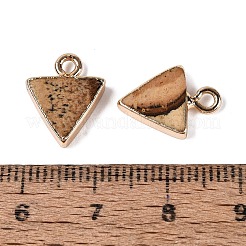 Natural Picture Jasper Pendants&nbsp;G-Q606-103G-04