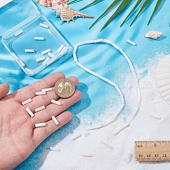 2 Strands Natural Freshwater Shell Beads Strands&nbsp;BSHE-WR0001-03