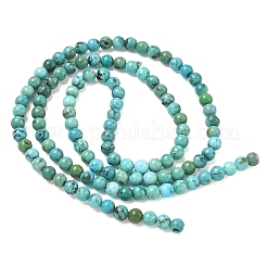 Natural HuBei Turquoise Beads Strands&nbsp;G-P629-D01-01