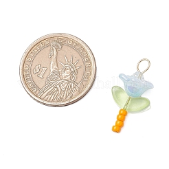 Glass Seed Beads with Imitation Austrian Crystal Beads and 304 Stainless Steel Flat Head Pins and Handmade Lampwork Beads and Iridescent Acrylic Bead Caps Pendants&nbsp;PALLOY-JF03485-02