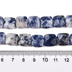 Natural Blue Spot Jasper Beads Strands&nbsp;G-T138-172