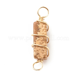 Natural Picture Jasper Connector Charms&nbsp;PALLOY-JF01580-04
