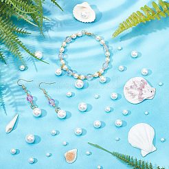 40Pcs 5 Sizes Shell Pearl Beads&nbsp;BSHE-NB0001-11