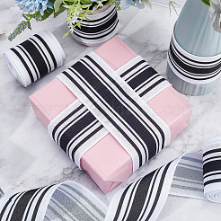 Polyester Ribbons&nbsp;OCOR-WH0079-16C