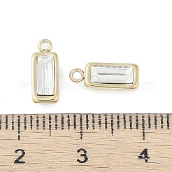 304 Stainless Steel Charms&nbsp;STAS-L022-242G-03