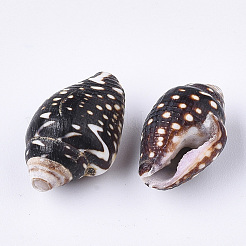 Spiral Shell Beads&nbsp;LS-SSHEL-T008-23