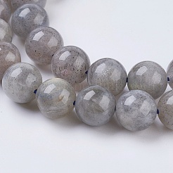 Natural Labradorite Beads Strands&nbsp;G-G212-8mm-23
