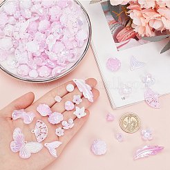 100G Plastic Pendants & Beads & Decoden Cabochons&nbsp;OHAR-SC0002-99A