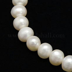 Natural Cultured Freshwater Pearl Beads Strands&nbsp;X-PEAR-L001-C-13