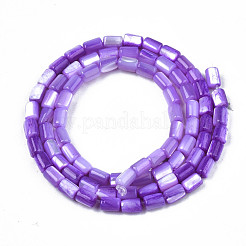Natural Trochid Shell/Trochus Shell Beads Strands&nbsp;SHEL-N003-26-B02