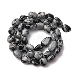 Natural Snowflake Obsidian Beads Strands&nbsp;G-K395-A04-02
