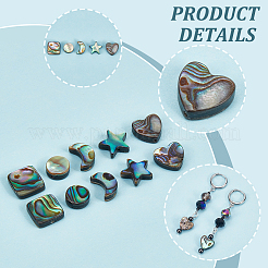 10Pcs 5 Styles Natural Abalone Shell/Paua Shell Beads Sets&nbsp;SSHEL-NB0001-43