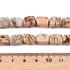 Natural Feldspar Beads Strands&nbsp;G-T138-84