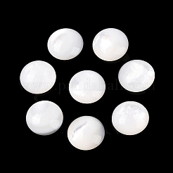 Natural White Shell Beads&nbsp;SSHEL-B006-03