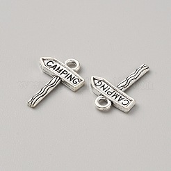 Alloy Pendants&nbsp;PALLOY-WH0107-10AS