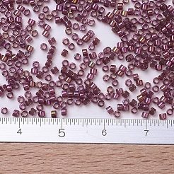 MIYUKI Delica Beads&nbsp;SEED-MY11-DB0103