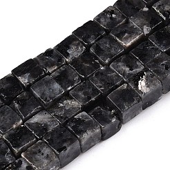 Natural Larvikite Beads Strands&nbsp;G-T139-8x8-25A