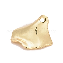 Brass Pendants&nbsp;KK-M229-59G