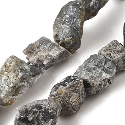 Natural Labradorite Beads Strands&nbsp;G-S386-C07