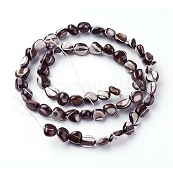 Shell Beads Strands&nbsp;SSHEL-E571-45B