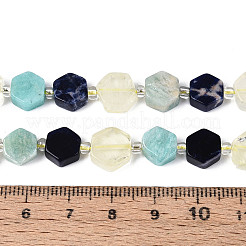Natural Sodalite & Flower Amazonite & Lemon Quartz Beads Strands&nbsp;G-N358-03A-06